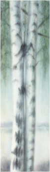 Valkeat yöt / White Nights, 2017, akvarelli / watercolour, 182 x 53 cm
